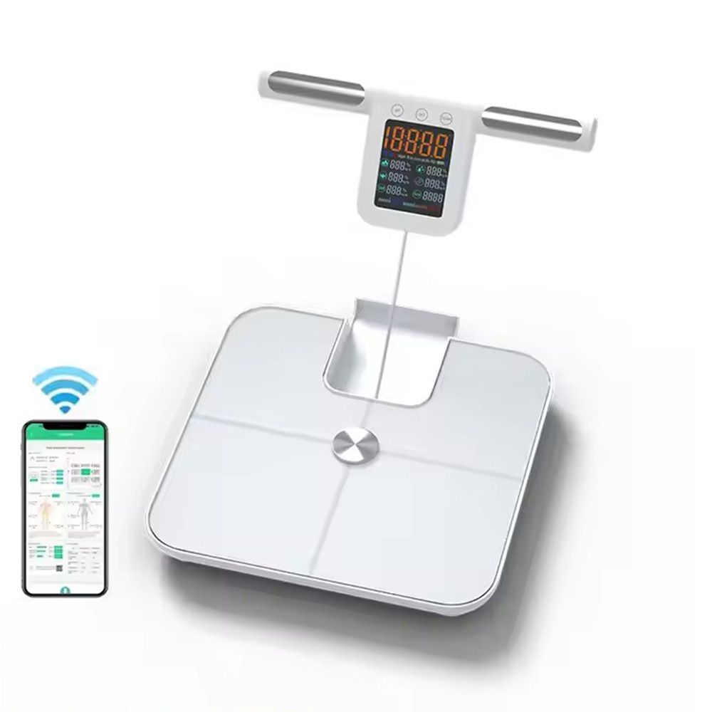 손잡이가 달린 스마트 체지방 체중계, 24 정밀 신체  - Body Fat Scale Smart 리뷰 및 가격