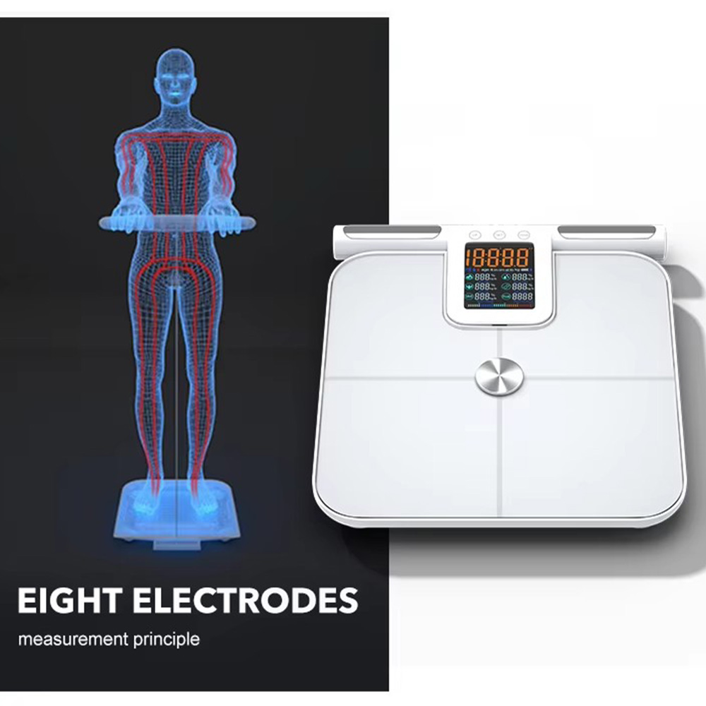 손잡이가 달린 스마트 체지방 체중계, 24 정밀 신체  - Body Fat Scale Smart 리뷰 및 가격
