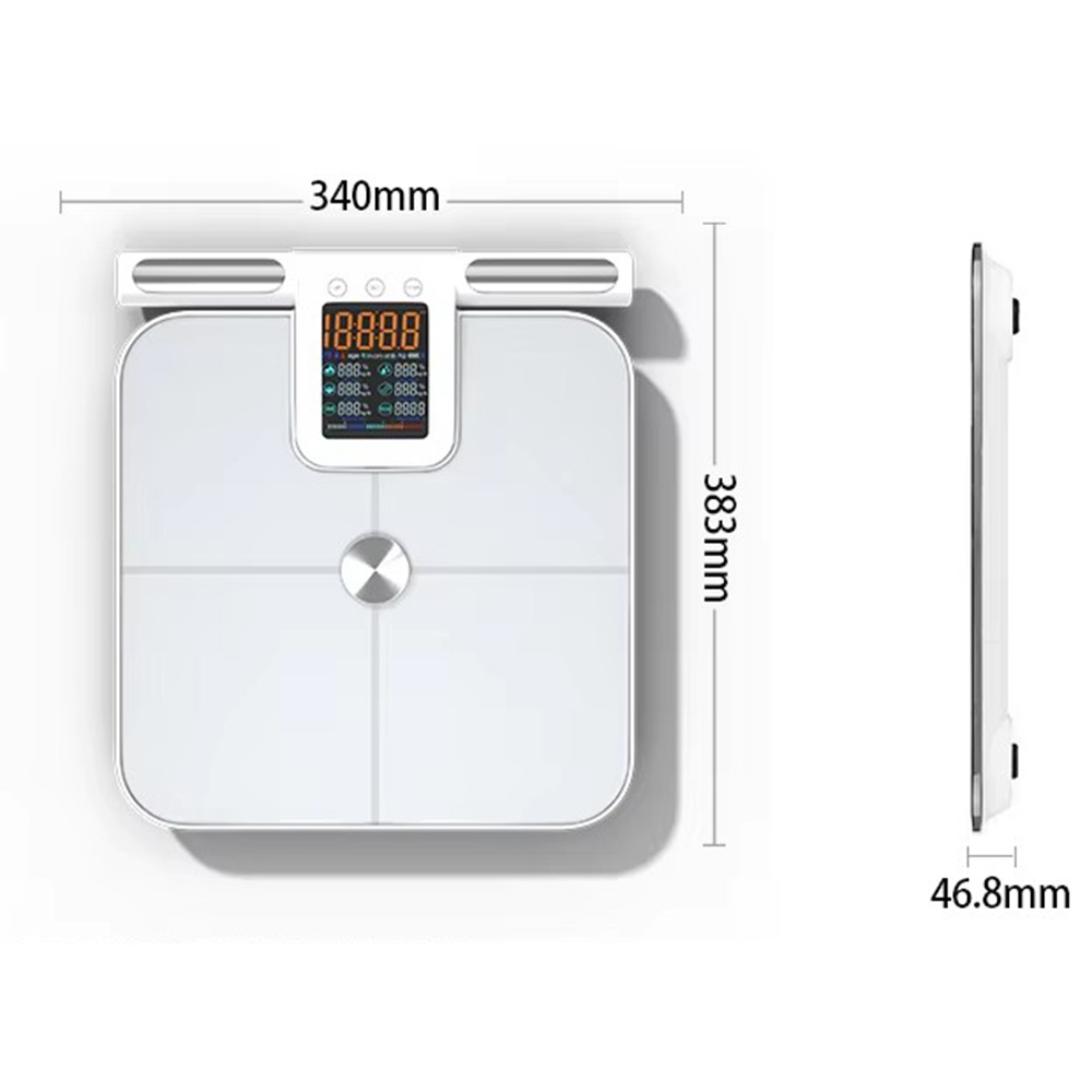 손잡이가 달린 스마트 체지방 체중계, 24 정밀 신체  - Body Fat Scale Smart 리뷰 및 가격