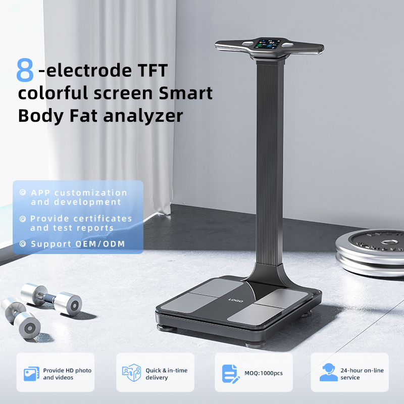 신형 LTO 스마트 체중계 분석기 체중 측정 스마트 체 - Body Fat Scale Smart 리뷰 및 가격
